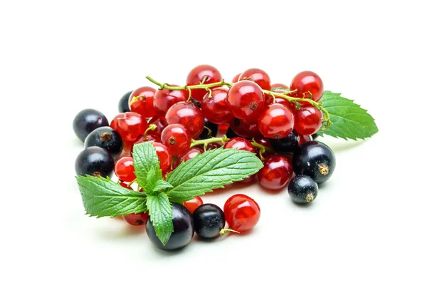 Schwarze und rote Johannisbeeren auf weißem Hintergrund — Stockfoto