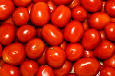 Taze domates grubudur. Domates arka plan. Bir sürü taze domates. Pek çok kırmızı domates ripes ile yaz arka plan, kırmızı sulu domates topları kutusunda yatıyordu. Bir sürü taze kırmızı domates birlikte.