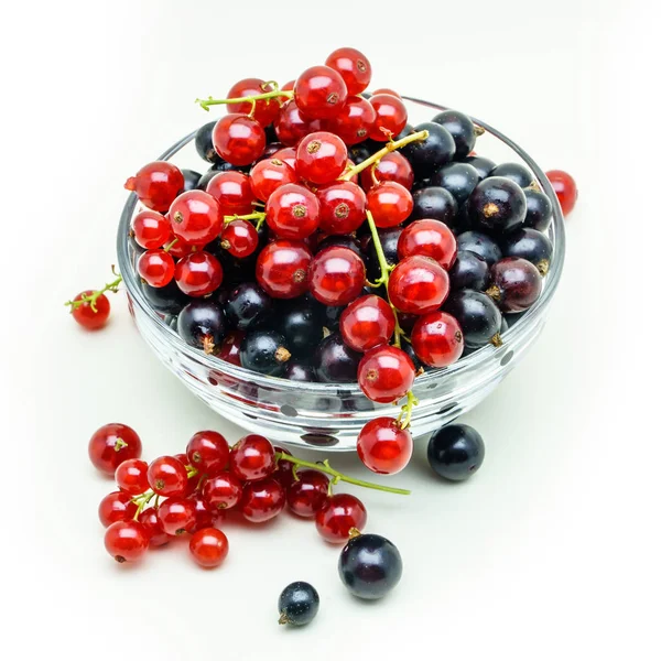 Schwarze Johannisbeere und Pinsel von roten Johannisbeeren in einer Glasvase. Vase w — Stockfoto