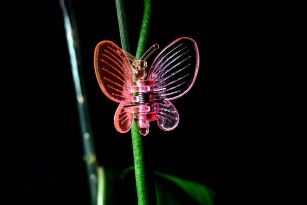 Clip in Form des rosa transparenten Schmetterlings zur Befestigung eines Stiels einer Orchidee an einem Gestell — Stockfoto