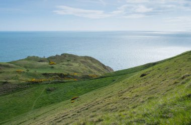 Cliffs Purbeck miras Coast