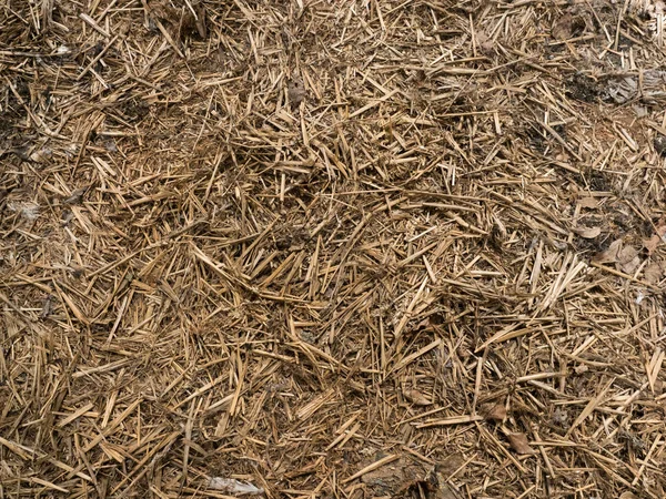 Arka plan - kahverengi scobs ahşap talaş cips. 