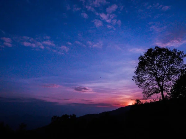 Tramonto sulla cima della montagna solo albero blu scuro — Foto Stock