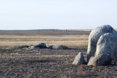Sonbaharda bozkırda taşlar ve kuru otlar.