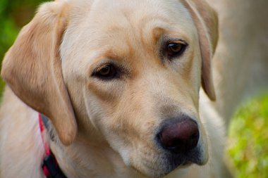 sevgi dolu bir bakış