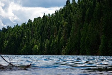 Dworshak Lakeside fotoğraf