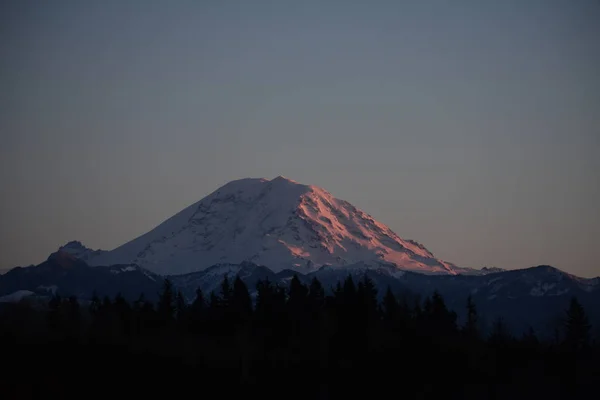 Günbatımı Mt. Rainier üzerinde — Stok fotoğraf