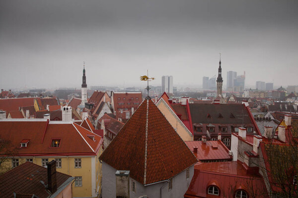 View of the roof of Tallinn