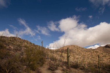 Catalina Mountain State Park