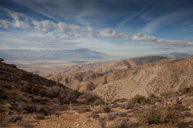 Joshua Tree Ulusal Parkı