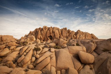 Joshua Tree Ulusal Parkı
