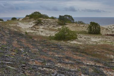 Curonian Spit, havadan görünümü.