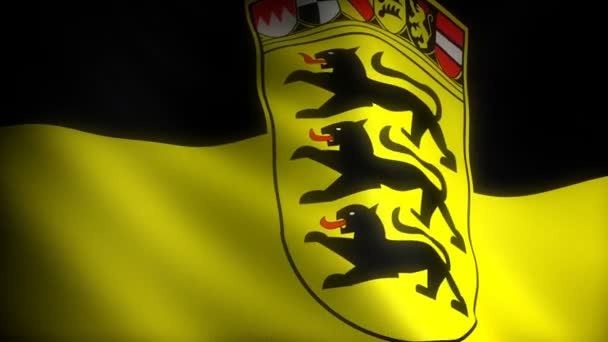 Vlag Van Baden Württemberg Naadloos — Stockvideo