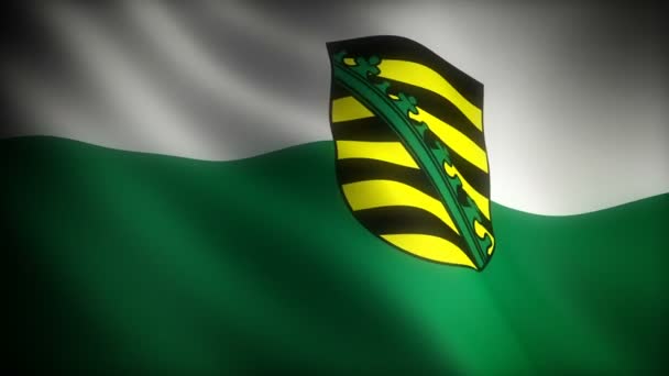 Flagge Von Sachsen Nahtlos — Stockvideo