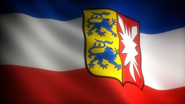 Drapeau Schleswig Holstein Sans Soudure — Video