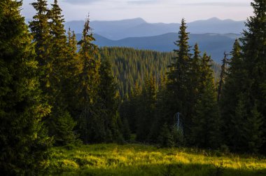 güzel Ukrayna Karpatlar. doğa, manzara, gün batımı ve Ukrayna'nın başlıyor