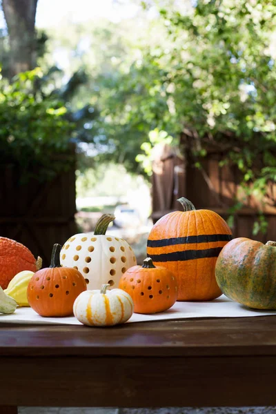 Striped and carved pumpkins — Stock Photo, Image