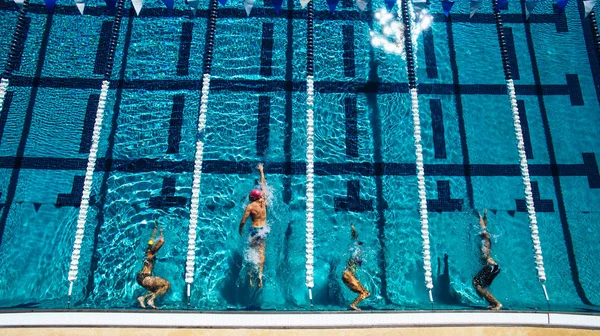 Vista aerea dei nuotatori in piscina — Foto Stock