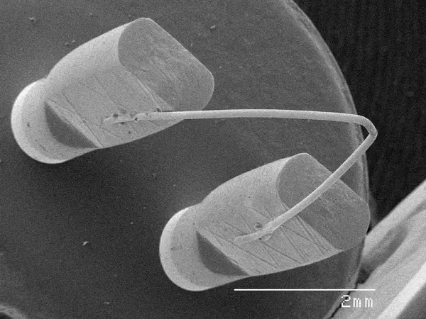 Burnt out filament with scaled rule — Stock Photo, Image