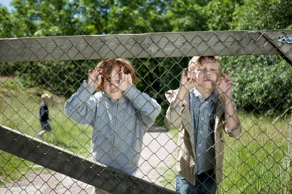 Chlapci štírovi řetězu plot — Stock fotografie