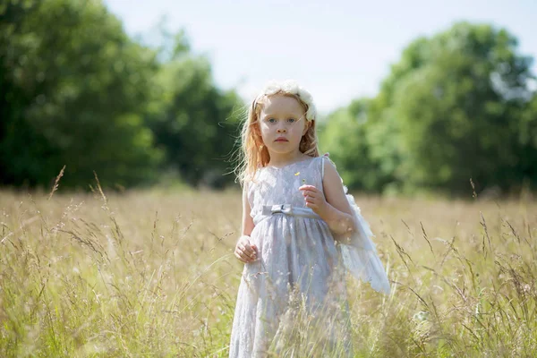 Girl wearing angel wings in field — Stock Photo, Image