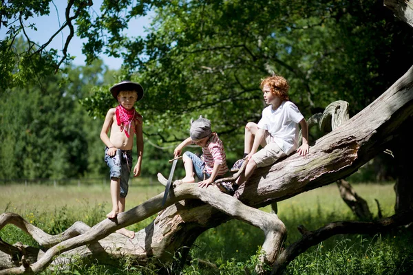 Chicos en trajes jugando en el tronco del árbol — Foto de Stock