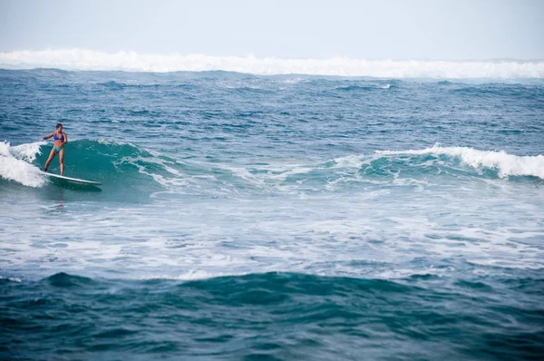 Surfer Jazdy Fale Skaliste — Zdjęcie stockowe