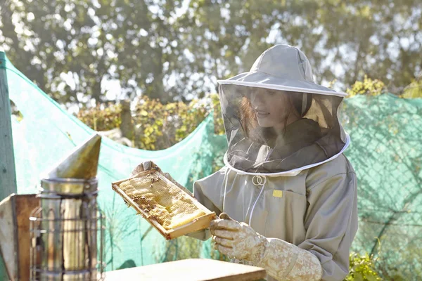 Ženské Včelaře Při Pohledu Honeycomb Zásobník Město Plnění — Stock fotografie