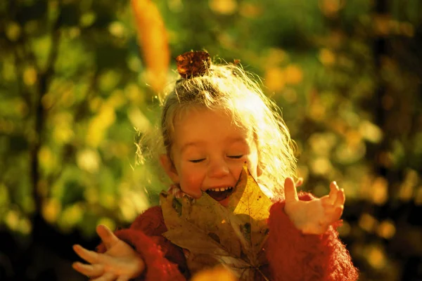 Fille Avec Des Feuilles Automne — Photo