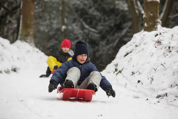 Kinder Rodeln Auf Schneebedecktem Hang — Stockfoto