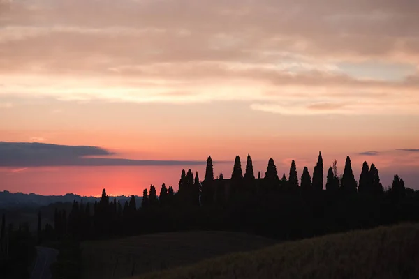 A Siena közelében naplemente fák ciprusok — Stock Fotó
