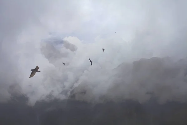 Fecskék Repülő Felett Hegy Tetejét Machu Picchu Peru — Stock Fotó