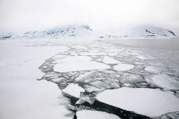 Isflak vid Svalbard skärgård — Stockfoto