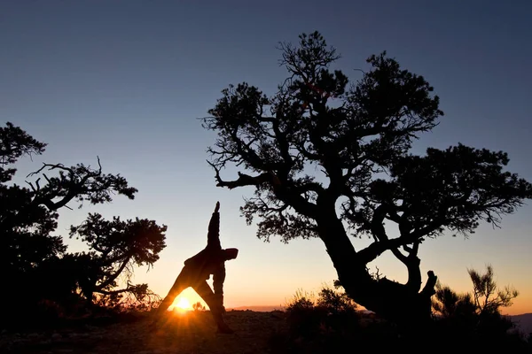 Homem Que Estende Nascer Sol Parque Nacional Vale Morte Califórnia — Fotografia de Stock