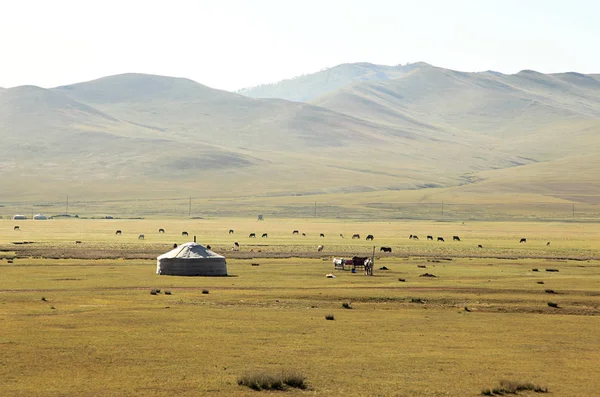 Mongolian steppes landscape — Stock Photo, Image