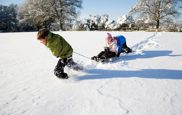 Children Playing Sledge Snow — Stock Photo, Image