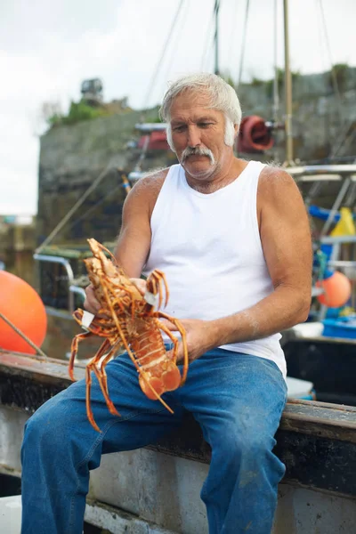 Fischer Hält Hummer Auf Boot — Stockfoto