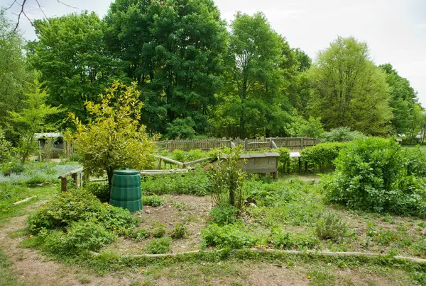 Hållbarhet trädgård i park — Stockfoto