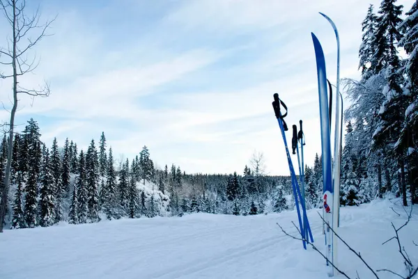 Bâtons et cannes de ski coincés dans la neige — Photo
