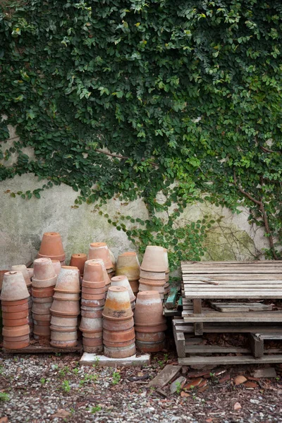 Pişmiş Toprak Bitki Kapları Ivy Ile Duvar Tarafından — Stok fotoğraf