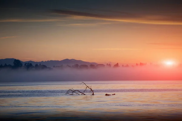 Туман Над Озером Маджоре Небо Восхода Солнца — стоковое фото