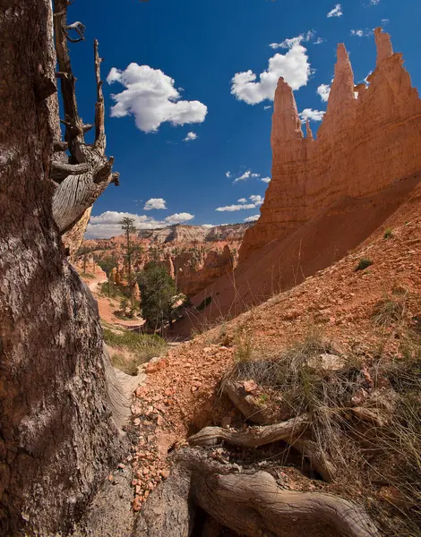 Weergave van bryce canyon — Stockfoto