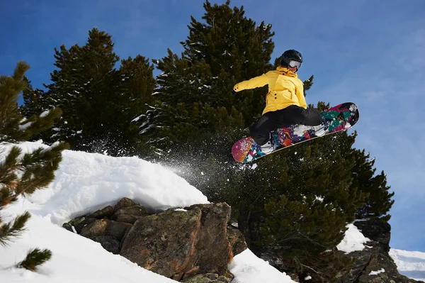 Genç Bayan Snowboardcu Atlıyor — Stok fotoğraf