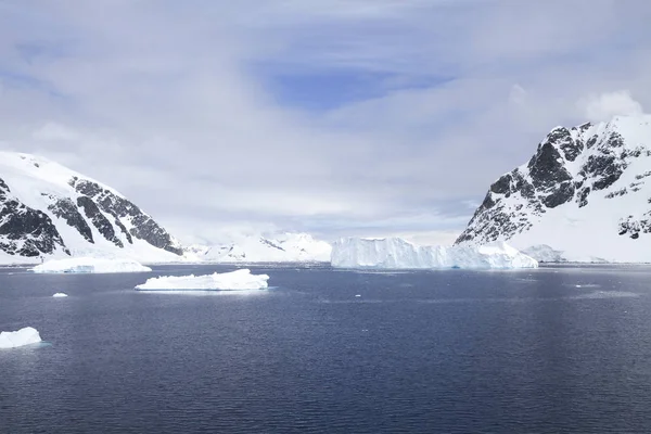 Vista Icebergs Montañas Neko Harbor Bahía Andvord Antártida —  Fotos de Stock