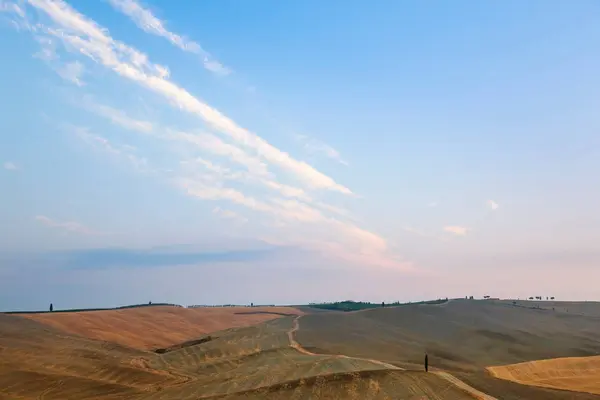 Crop fields in rural landscape — Stock Photo, Image