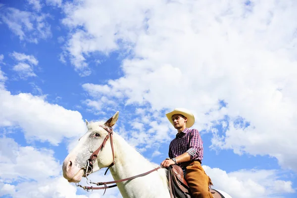 Lage Hoek Portret Van Jonge Mens Cowboy Versnelling Rijdt Paard — Stockfoto