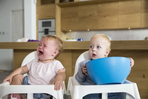 Male Female Twins Toddlers High Chairs — Stock Photo, Image
