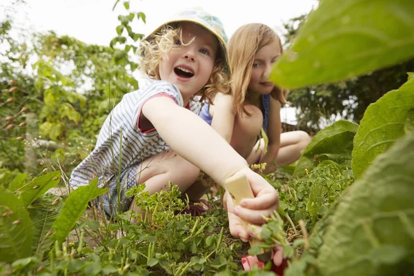 Deux Sœurs Accroupissent Creusent Dans Jardin — Photo