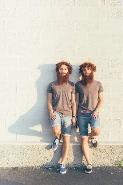 Портрет Идентичных Взрослых Близнецов Мужчин Рыжими Волосами Бородами Белой Стены — стоковое фото
