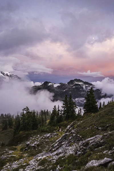 Хмари Над Засніженими Горами Сосновими Деревами — стокове фото